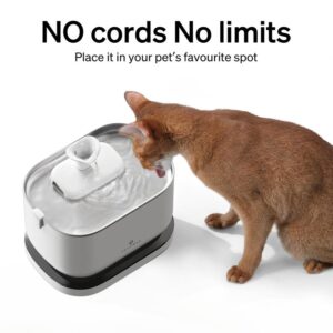 Cat water dispenser set, wireless pet water dispenser